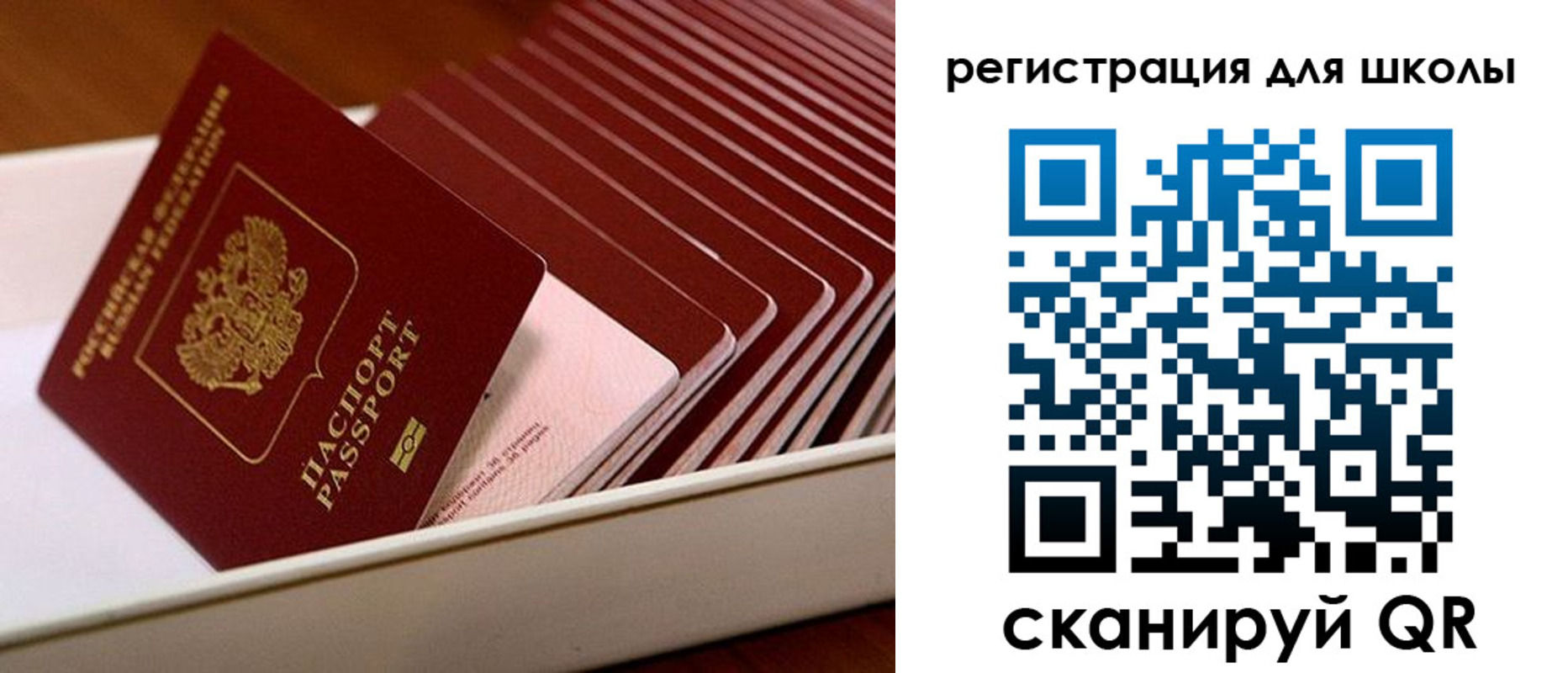 прописка гарантия в Михайлове
